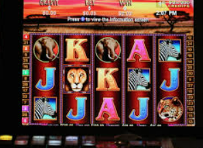 ledong网页版入口桌面版客户端